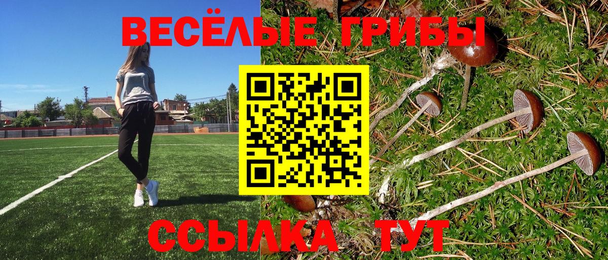 Псилоцибиновые грибы прущие грибы Бугуруслан